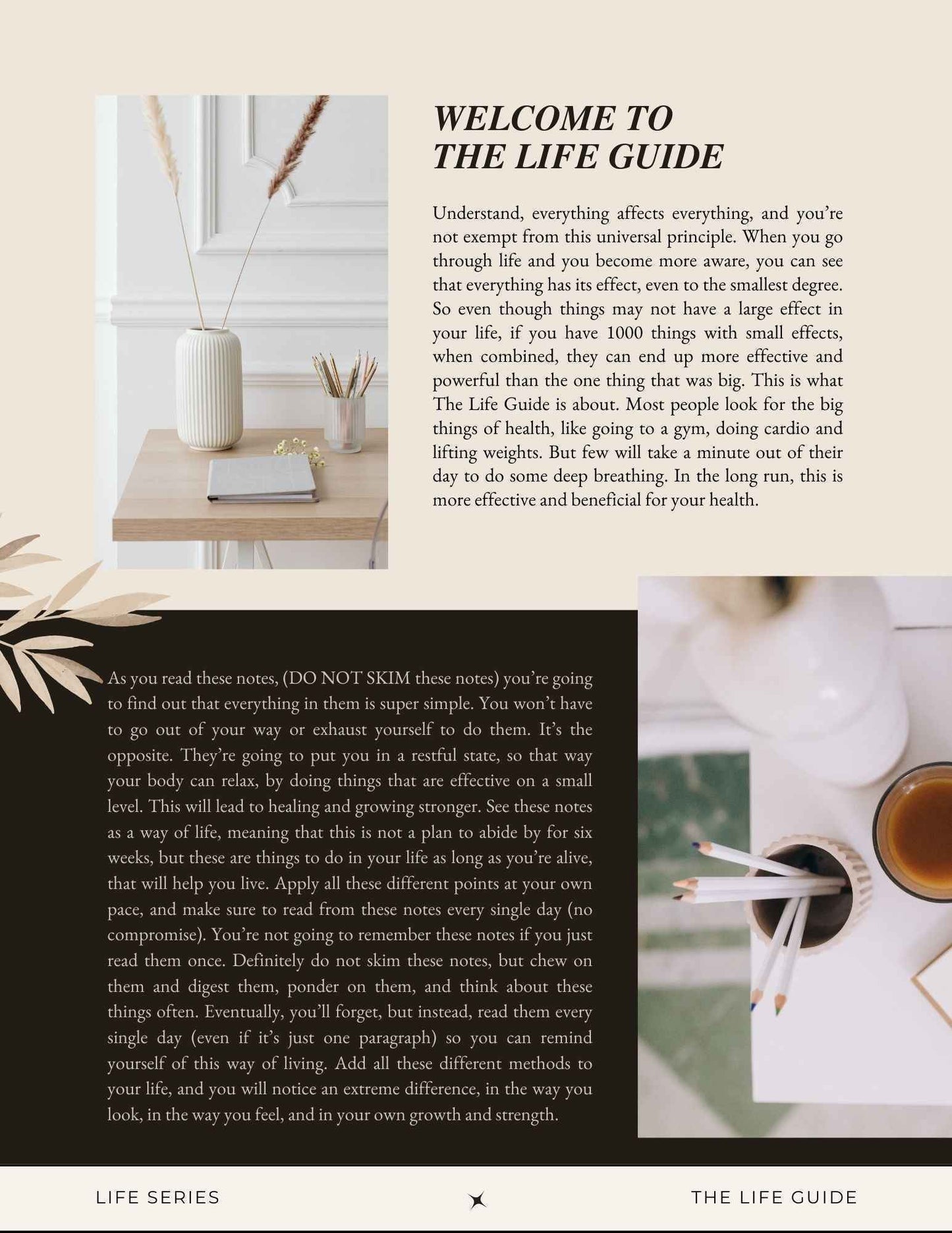 DIGITAL Bundle (The Life Guide & Meal Plan)