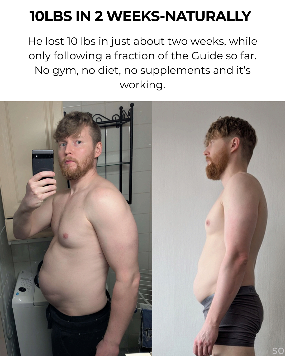 THE LIFE GUIDE