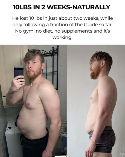 THE LIFE GUIDE [DIGITAL BOOK]