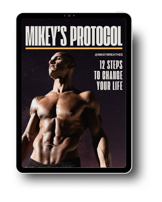 Mikey's Protocol Guide: 12-Step Plan for Brain & Body Reset, Natural Healing & Energy