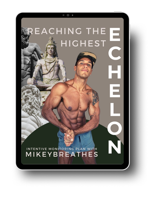 Mikey's Intensive Monitoring Program (5 Spots Only)