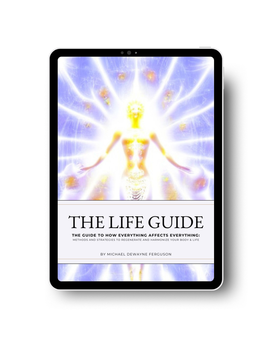 THE LIFE GUIDE [DIGITAL BOOK]