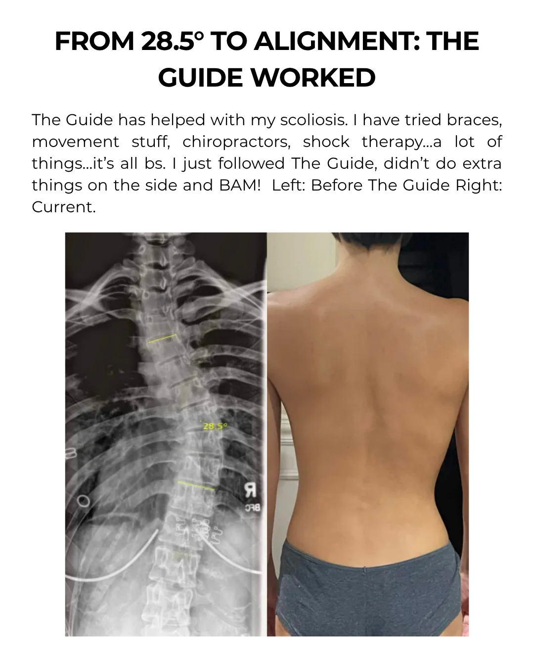THE LIFE GUIDE [DIGITAL BOOK]