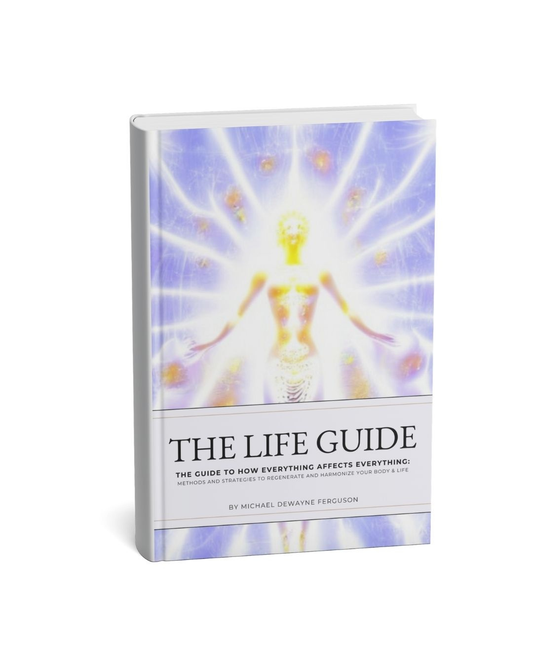 The Life Guide Hardcover & Digital Meal Plan Bundle