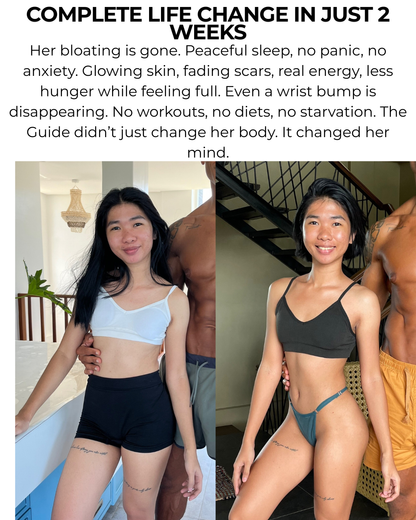 THE LIFE GUIDE