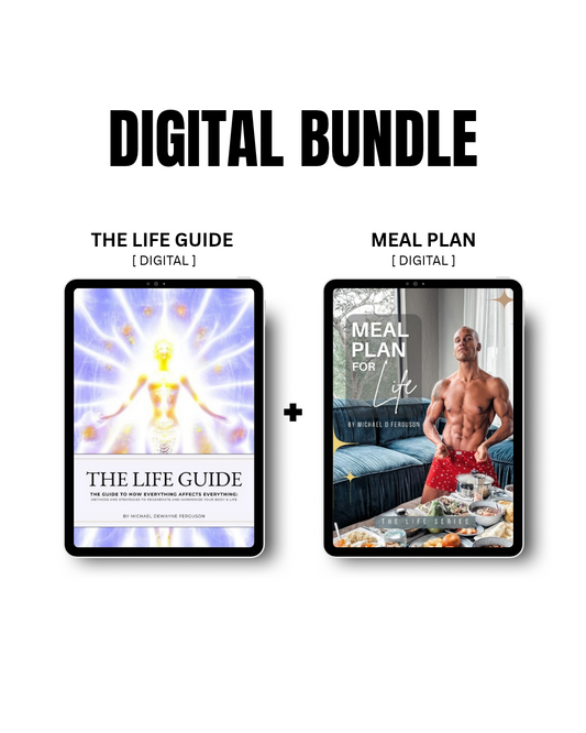 THE LIFE GUIDE