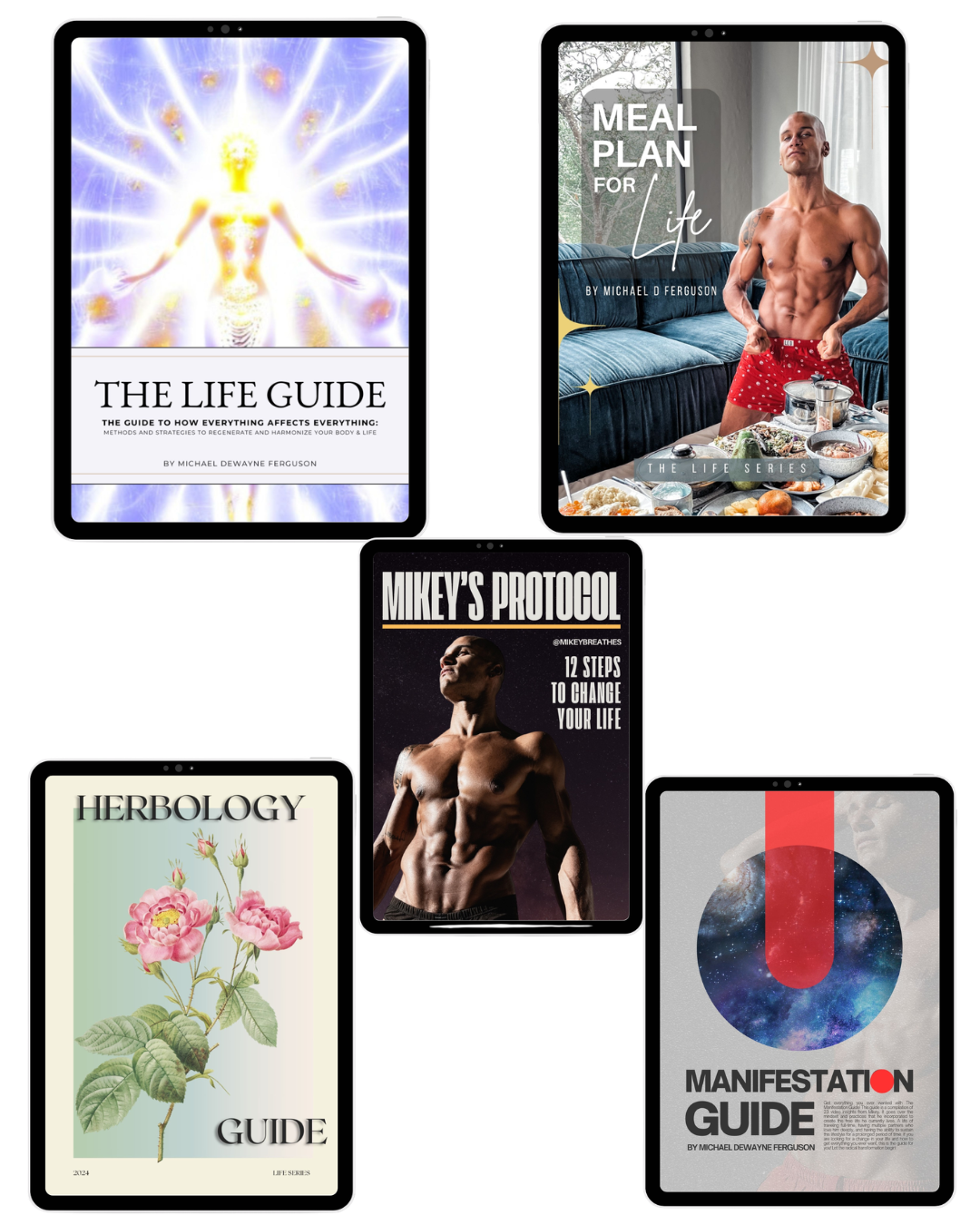 THE LIFE GUIDE