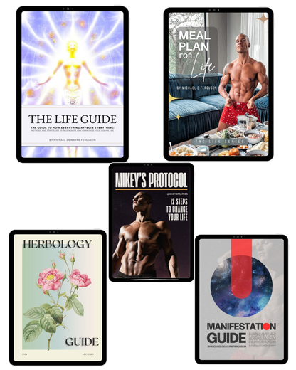 THE LIFE GUIDE