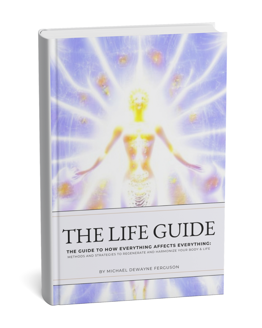 The Life Guide [Paperback]