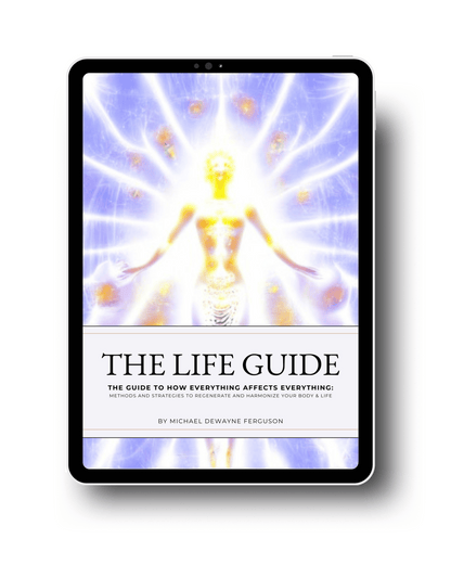 DIGITAL Bundle (The Life Guide & Meal Plan)
