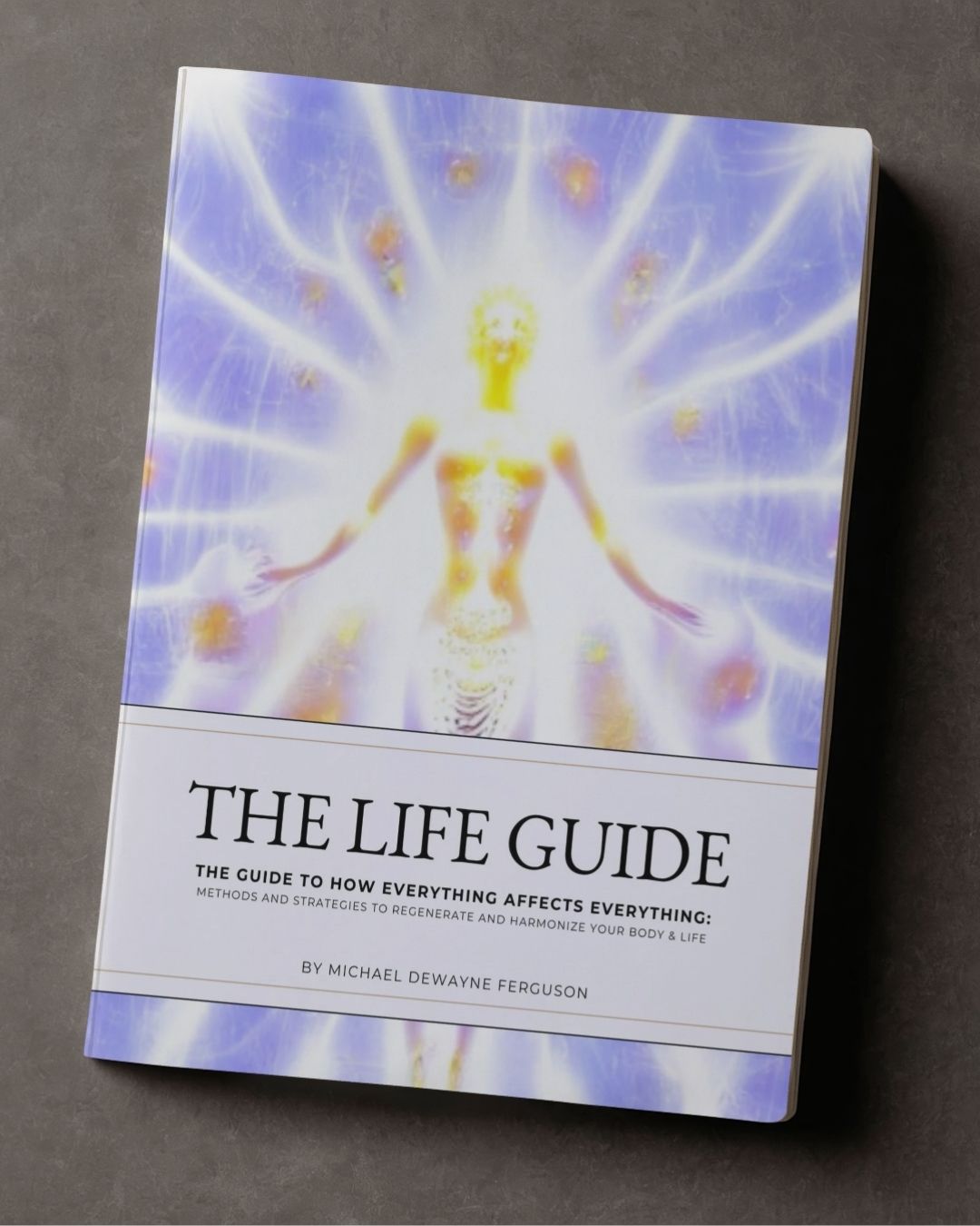 THE LIFE GUIDE [PAPERBACK]