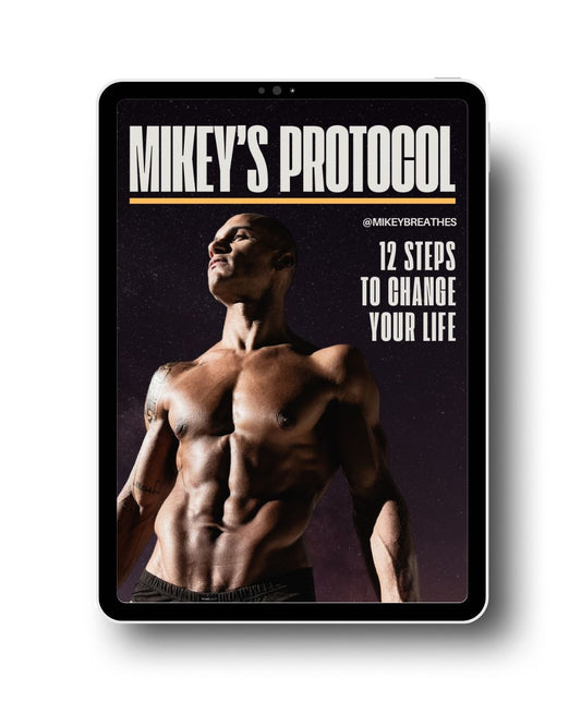 Mikey's Protocol