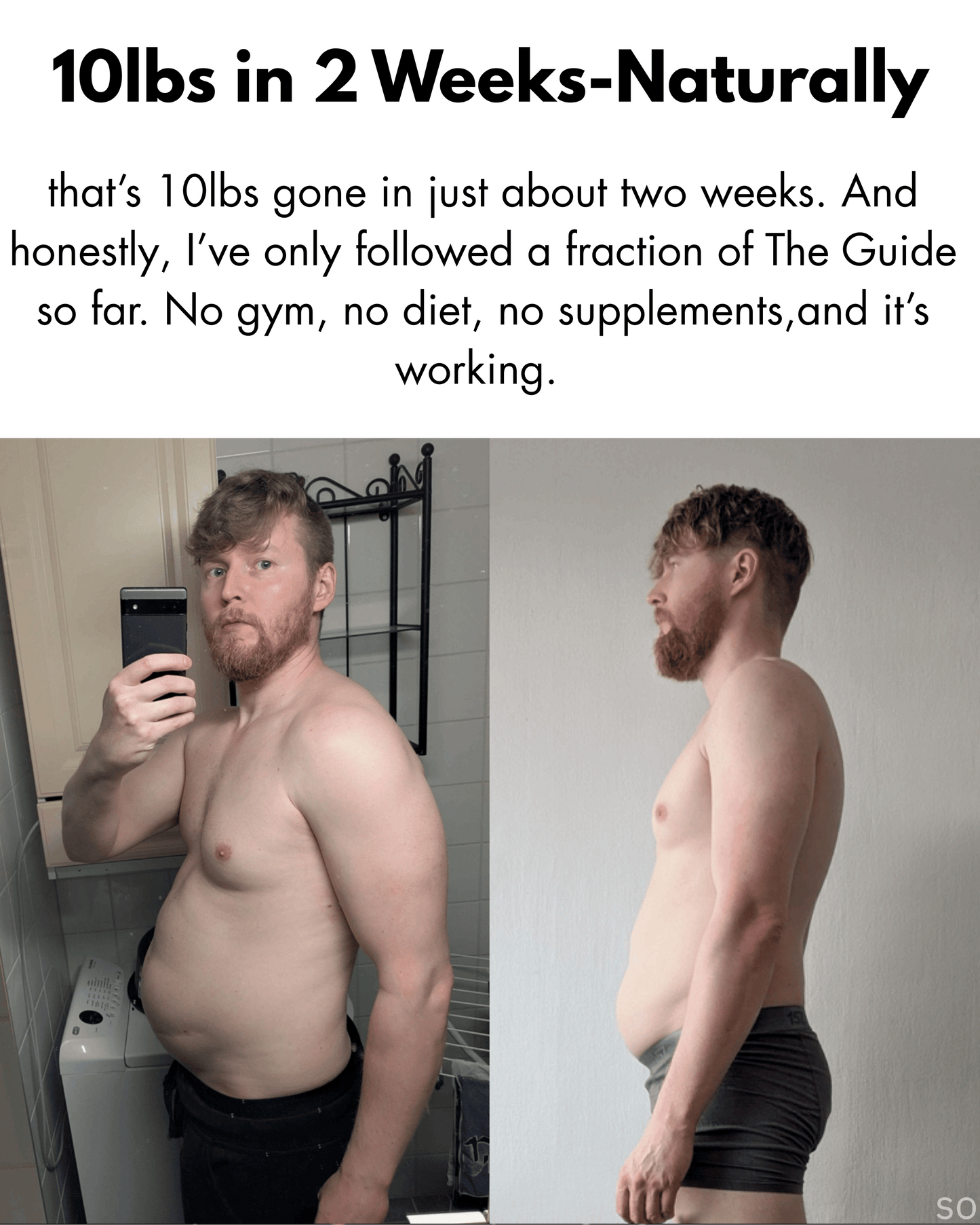 DIGITAL Bundle (The Life Guide & Meal Plan)