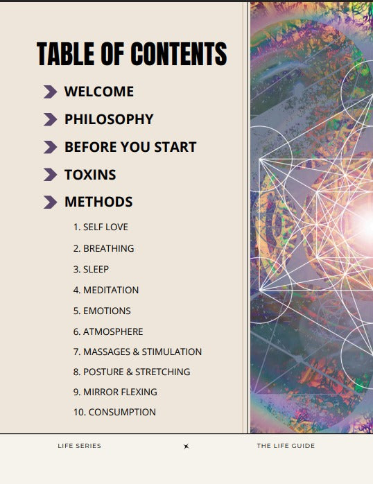THE LIFE GUIDE